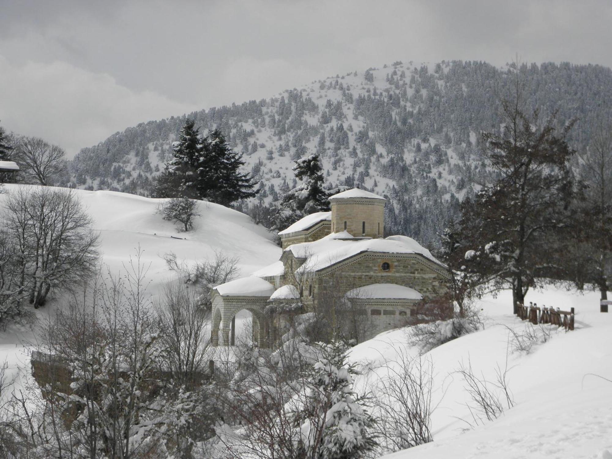 Guesthouse Theodorou Eláti Exterior foto